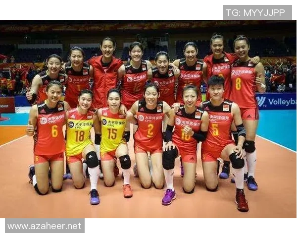 排球深度：解密杭州排球队的转换